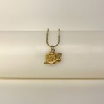 Salyangoz Uçlu Altın Kaplama Çelik Kolye